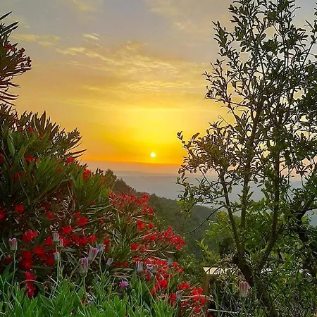 Pera Da Serra - Turismo No Espaco Rural בית חווה לאוסה