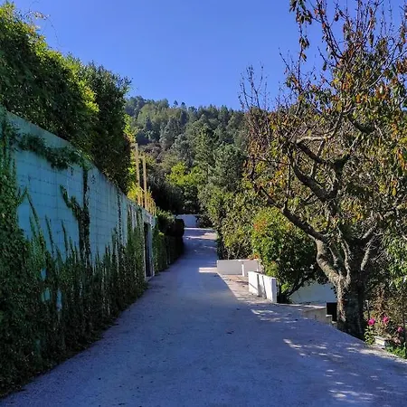 Pera Da Serra - Turismo No Espaco Rural לאוסה