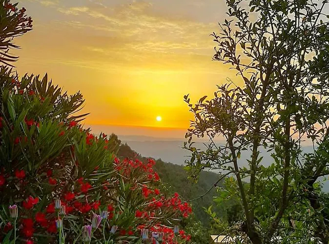 Pera Da Serra - Turismo No Espaco Rural 农家乐 洛萨