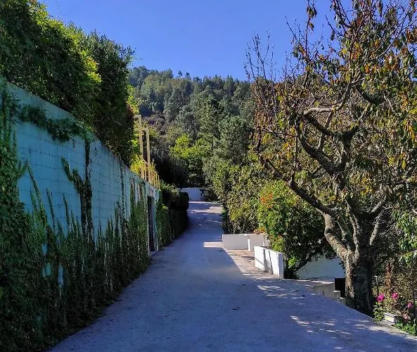 Pera Da Serra - Turismo No Espaco Rural Lousã